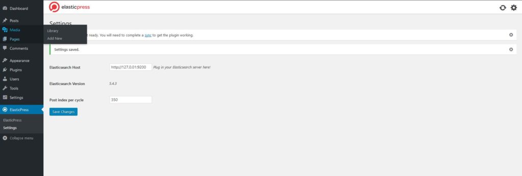 Setting up the ElasticPress host